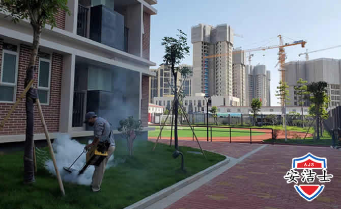 嵊州工厂工地除白蚁