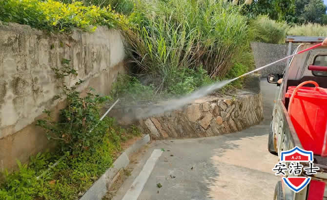 嵊州道路堤坝白蚁防治