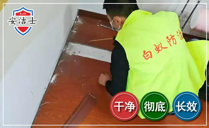 嵊州除四害现场