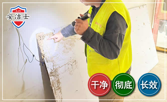 嵊州除白蚁现场