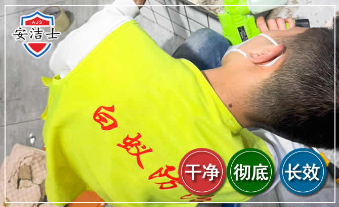 嵊州白蚁根治现场